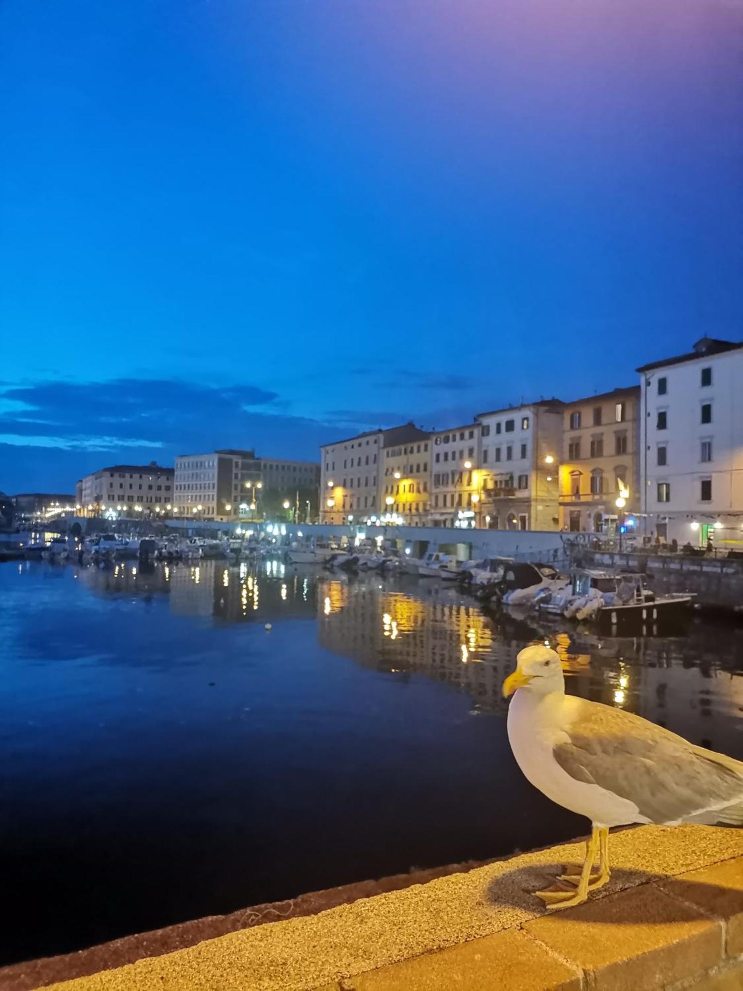 Residenza Vittoria Livorno Appartement Buitenkant foto